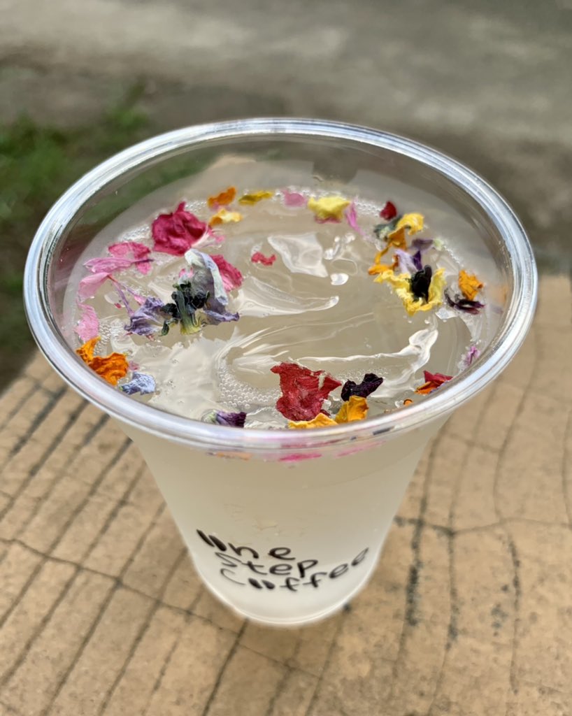 harp1833's tweet photo. #フードトラッカー峯岸みなみ で紹介された、お洒落可愛いone step coffeeが来ていた肥後細川庭園へ先日行きました。優しく爽やかなElder Flower Flavorソーダでスッと汗がひき、アイスCaffe LatteのAlmond Flavorは旨味と苦味、ミルクの膨らみとアーモンドの香ばしさが最高でした。
#onestepcoffee https://t.co/no4pzKv5Bj