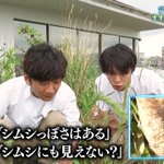 ザ!鉄腕!Dash!!に関連する437件のまとめ - Togetter