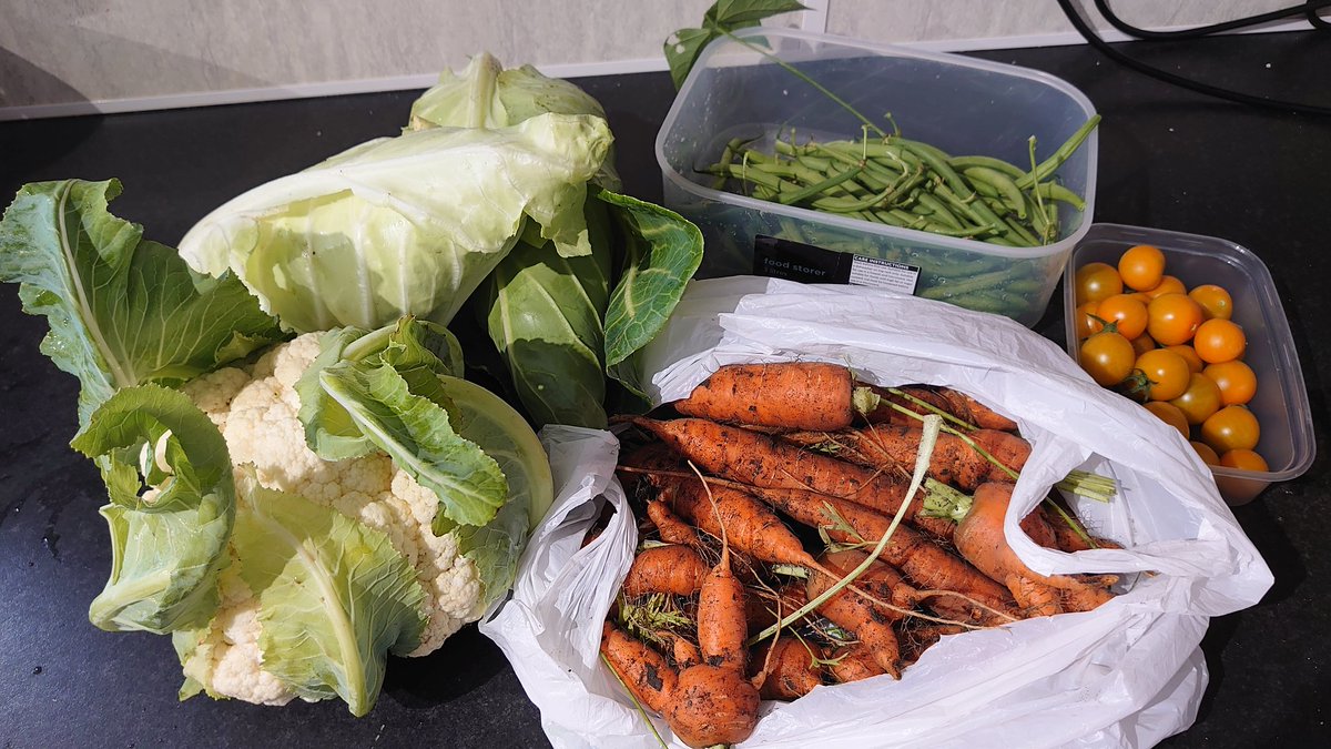 Mrs P has just gone and gathered some goodies from the garden! Cabbage, cauliflower, green beans, carrots and cherry toms.😀 #Homegrown