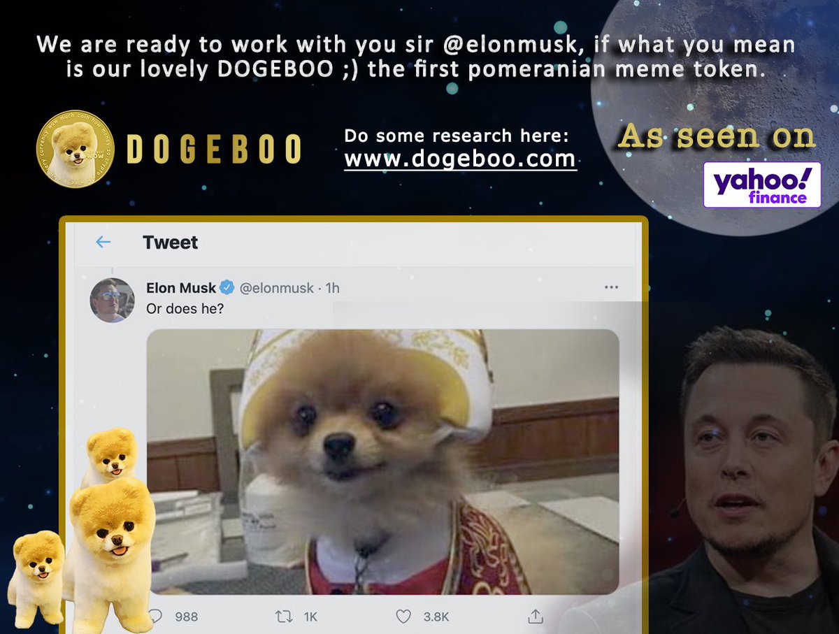 Boo is the cutest Pomeranian in the world 🥰 <a href="/elonmusk/">Elon Musk</a> meet DOGEBOO, we are ready to work with you sir :)