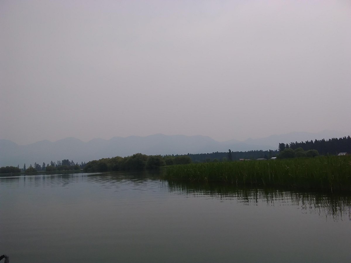 RanchEmu's tweet photo. Fish'n on Flathead River! The water lilies are starting to bloom. The sky is not cloudy! #montanaemuranch #flathead #flatheadriver #flatheadlake #Montana #Bigskycountry #fishing #fishingislife #fisherman #kalispell #kalispellmt #kalispellmontana https://t.co/zLfnublMA6