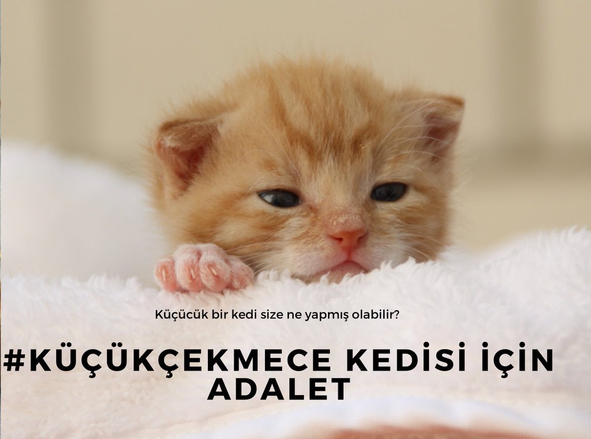 Pusula Postası tweet media