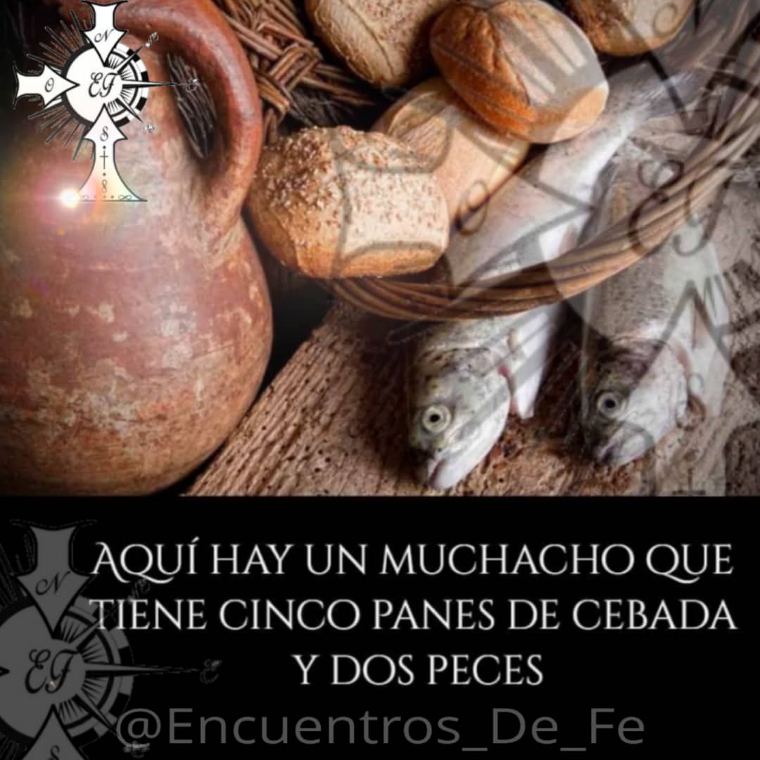 FeEncuentros's tweet photo. «Aquí hay un muchacho que tiene cinco panes de cebada y dos peces; pero ¿qué es eso para tantos?».
Jn 6, 1-15. #EncuentrosDeFe https://t.co/P10v0LZham
