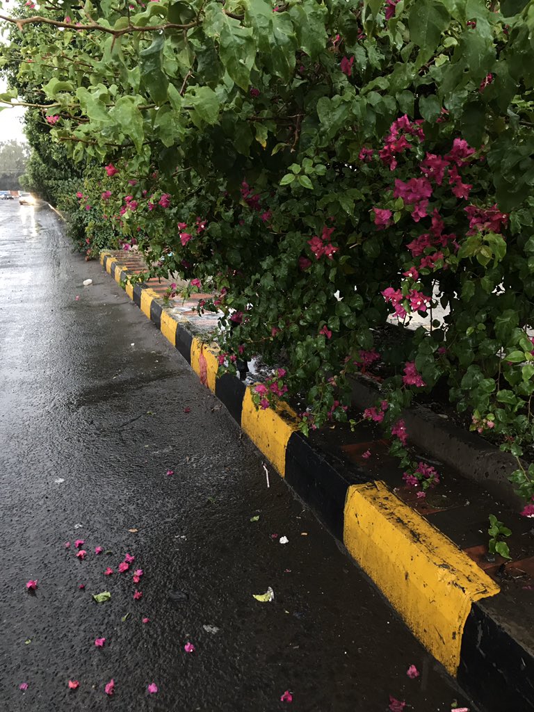 رشَّ السماء طريقكم أيحبكم حتى المطر؟