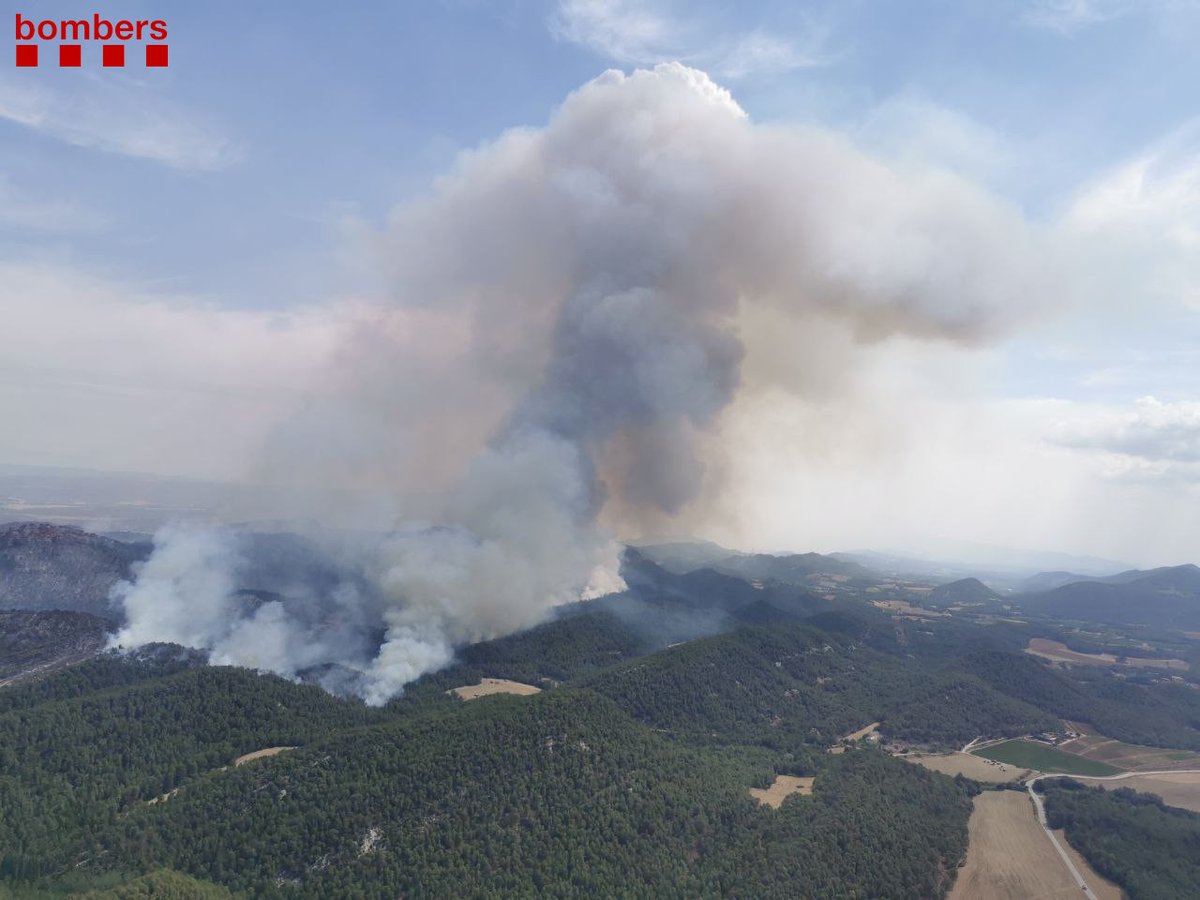 Bombers per la República🎗🚒 tweet media