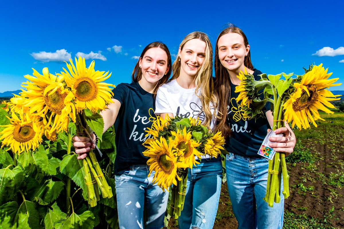 rdw_photography's tweet image. Daughters of Allison Baden-Clay, Sarah, Hannah and Ella, collecting sunflowers at Kalbar Sunflower Farm for the Foundation’s Strive to Be Kind campaign.

The sunflowers will be sold as a fundraiser ahead of The Strive to Be Kind Day lunch on Friday

#strivetobekind
#abcfoundation