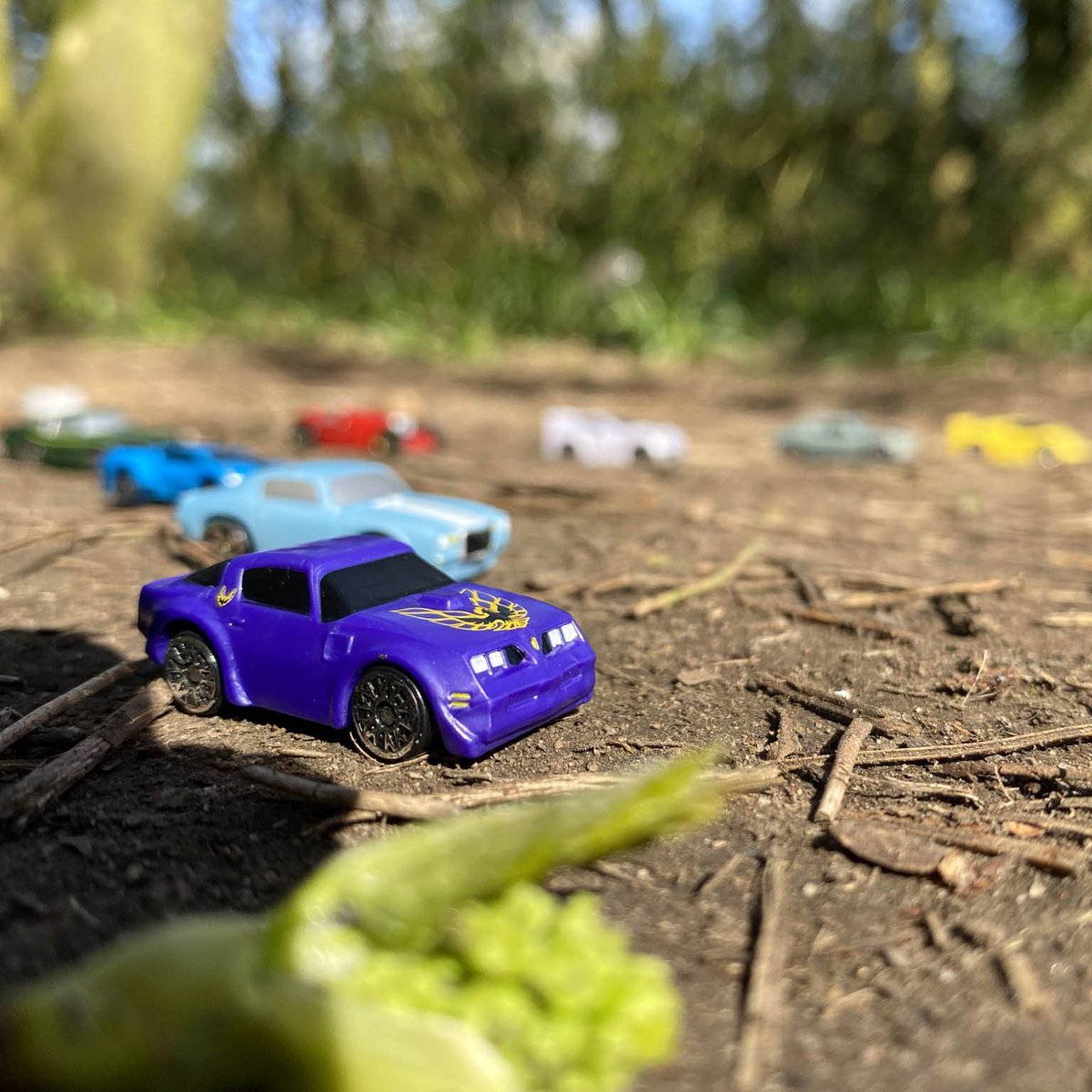 micromachinesx's tweet photo. Sometimes you just have to get out for some fresh air ☀️
@JamieGi61776277 via Twitter
#Jazwares #JazwaresToys #MicroMachines #micromachinesmania #toycars #toycarphotography #toyphotography #toycarcollection #carlifestyle #carguys #makeitmicro https://t.co/atwclZS6AT