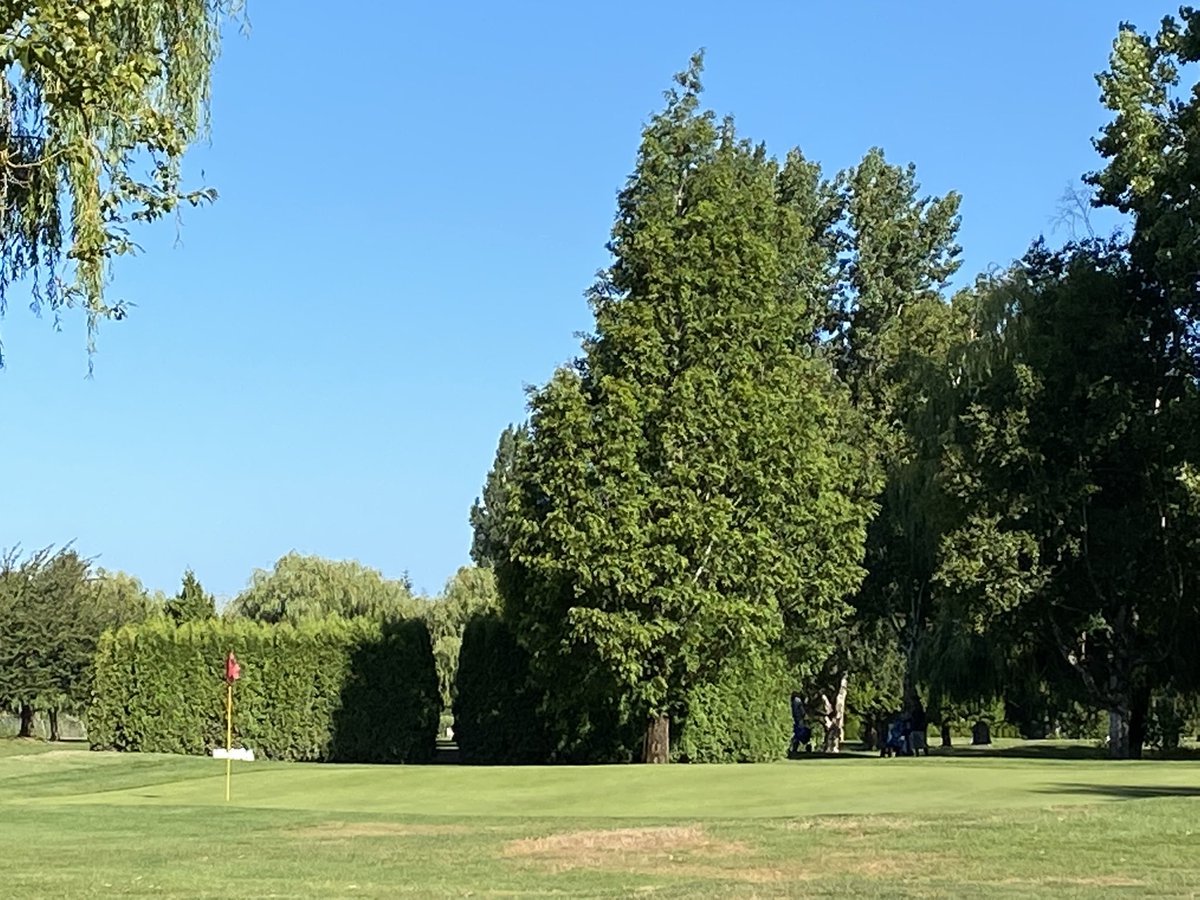 Finneganz_dad's tweet photo. Great morning for golf…except for the overwhelming mosquito force here
#DeltaGolf
#BogeyGolf https://t.co/ZqqMOwly7Q