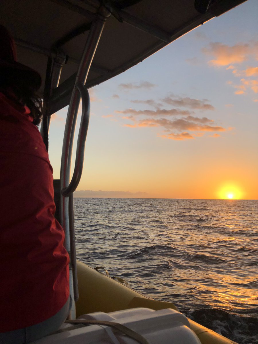 outofthedema's tweet photo. Je suis amoureuse de notre île 🇷🇪 https://t.co/TX1ZqueQ3T