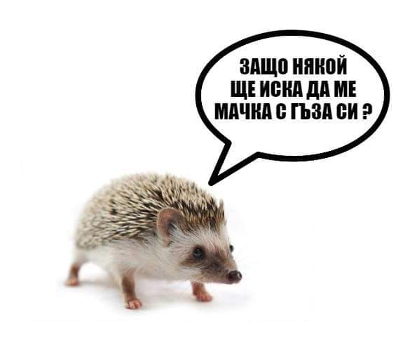 Serendipity (@sibelkirazli) on Twitter photo 