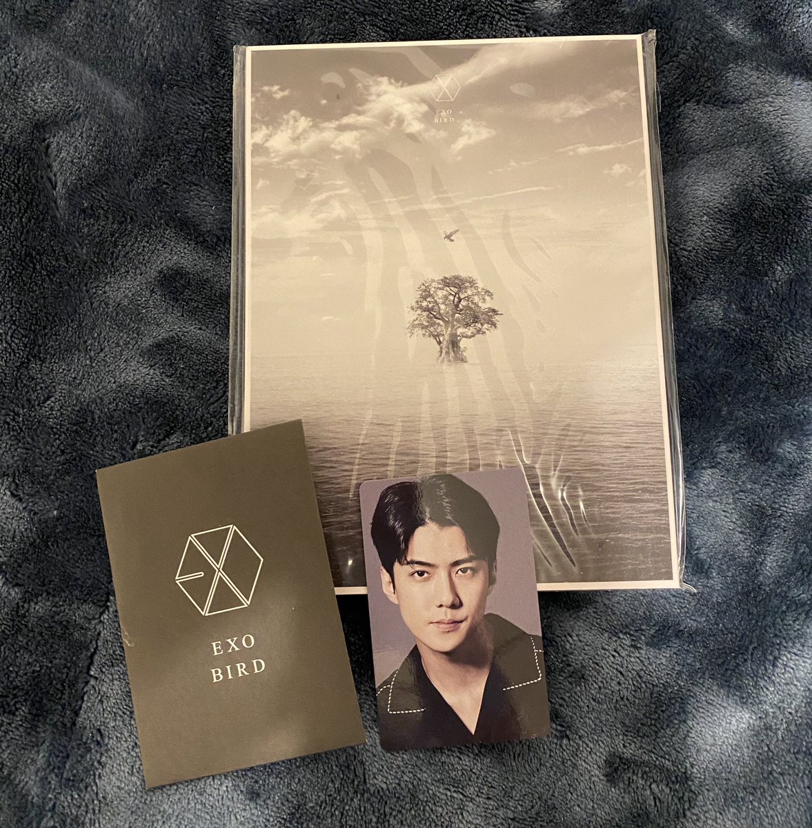 EXO CD Blu-ray BIRD-