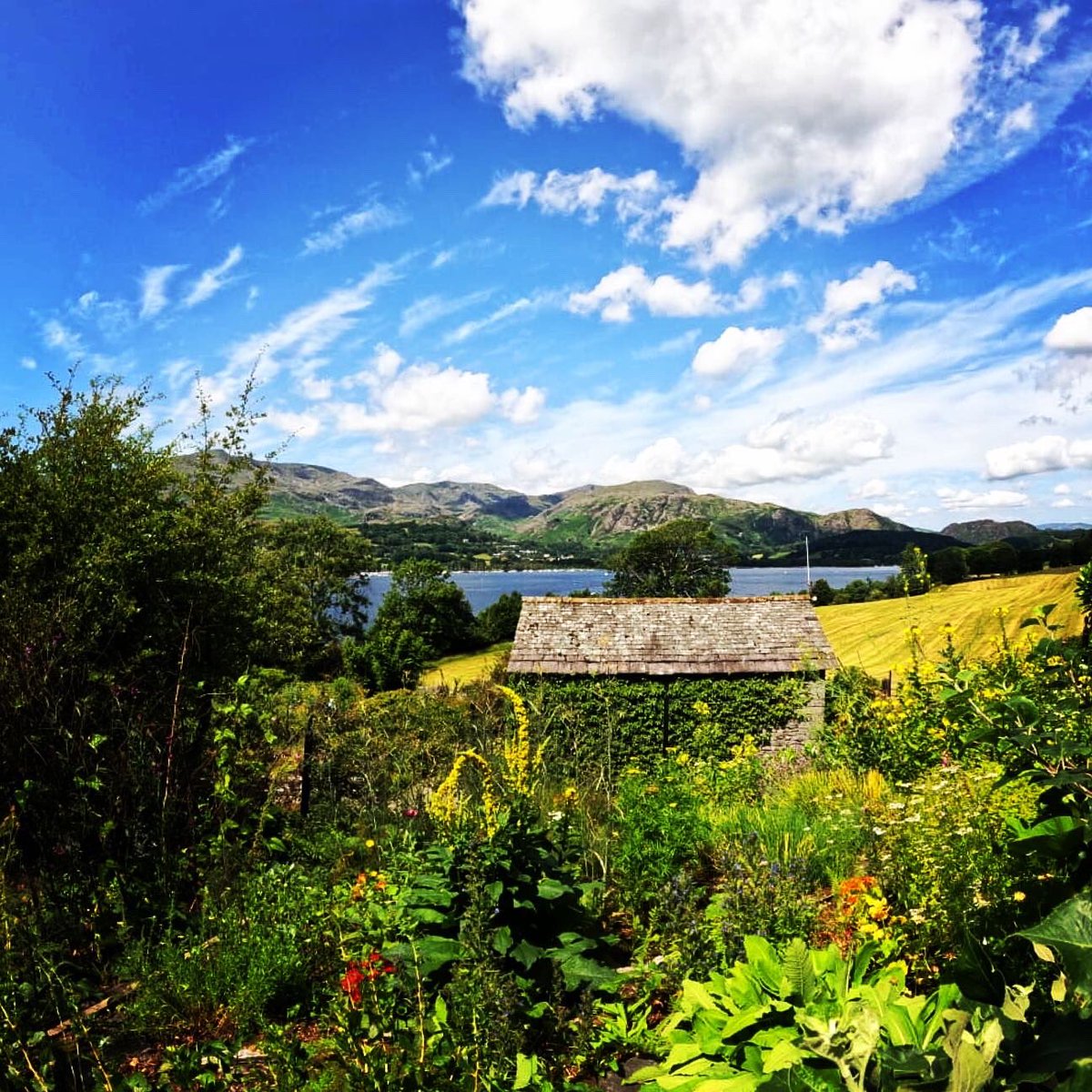 Annual leave was absolute perfection. A little trip to the lakes, read a couple of books, and spent a good chunk of time in the sun ☀️