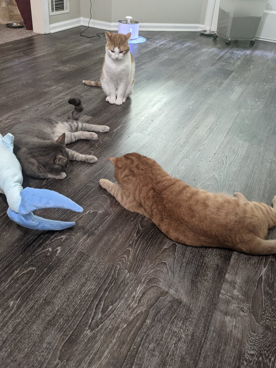 chonkycheet's tweet photo. druggs, wiht familee https://t.co/OXzHOEfCdE
