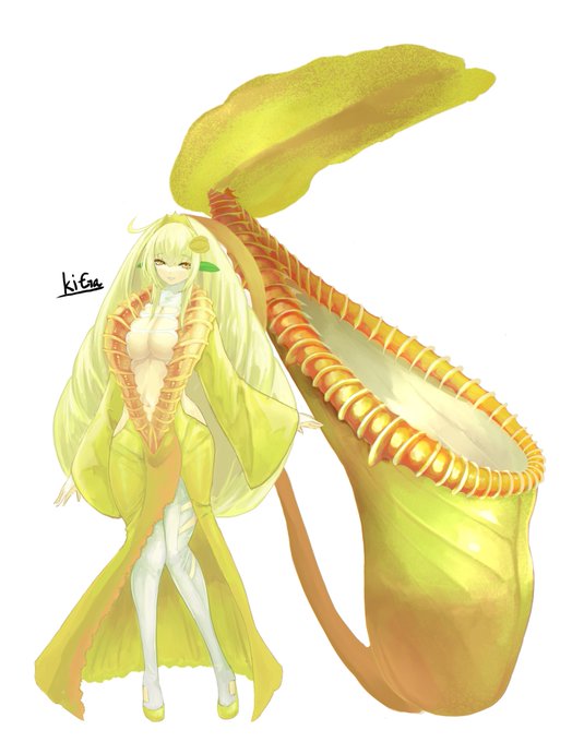 食虫植物のtwitterイラスト検索結果 食虫植物のtwitterイラスト検索結果