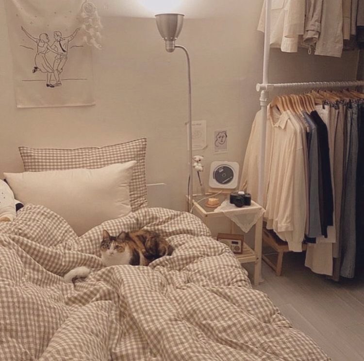 ColdmatchaS's tweet image. hi, there