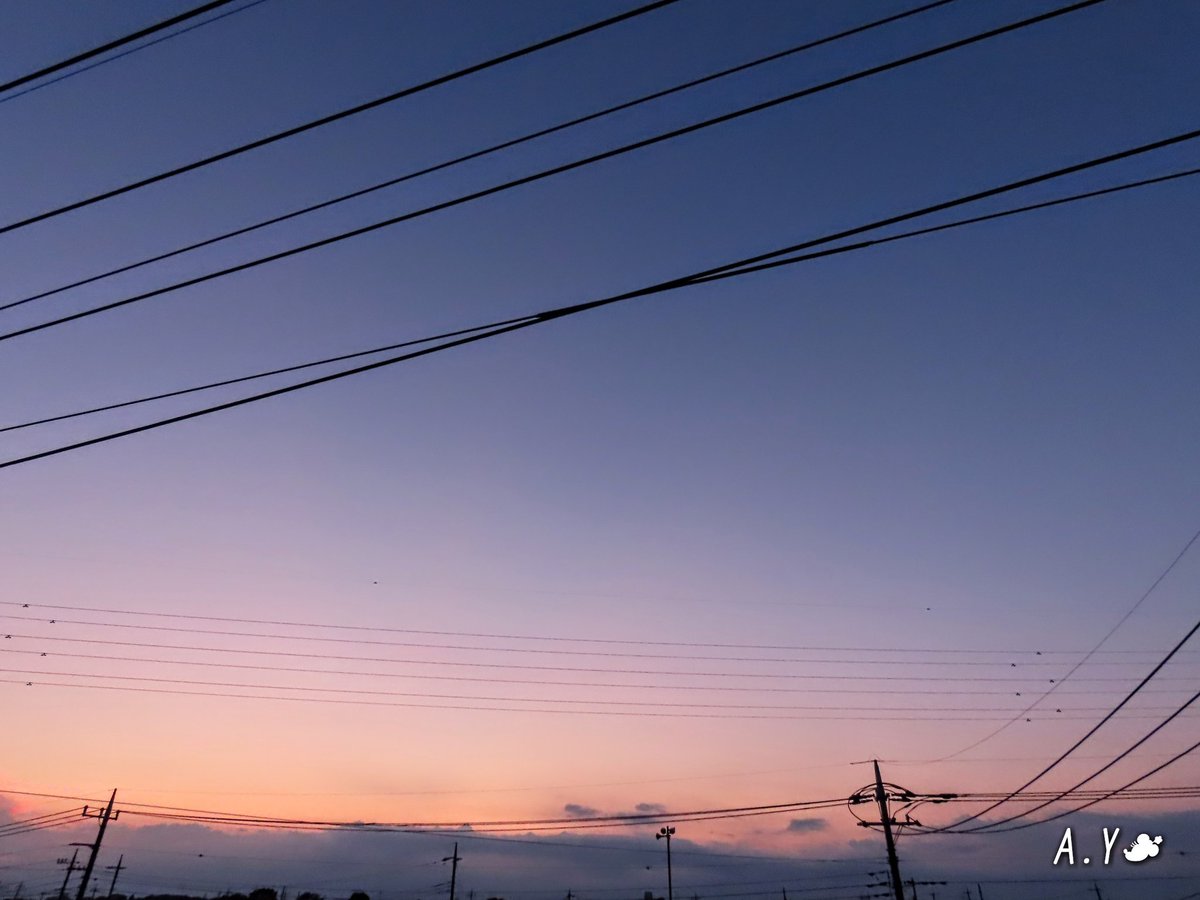 yumeasutw's tweet photo. パープルタウン💜
お疲れ様です🏁
夕風が心地良い #夕暮れ 🌆
西の彼方には #かなとこ雲 のシルエット。
北西の空には🌟 #宵の明星 が輝き始めていました✨
#黄昏
#マジックアワー
#トワイライト
#薄明
#夕空 #夕焼け #鉄塔 #電線 #電柱
#空の名前
#雲の教室
#天気の図鑑
#a2021 #a0725 #a202107 https://t.co/dtw8dwUiaZ