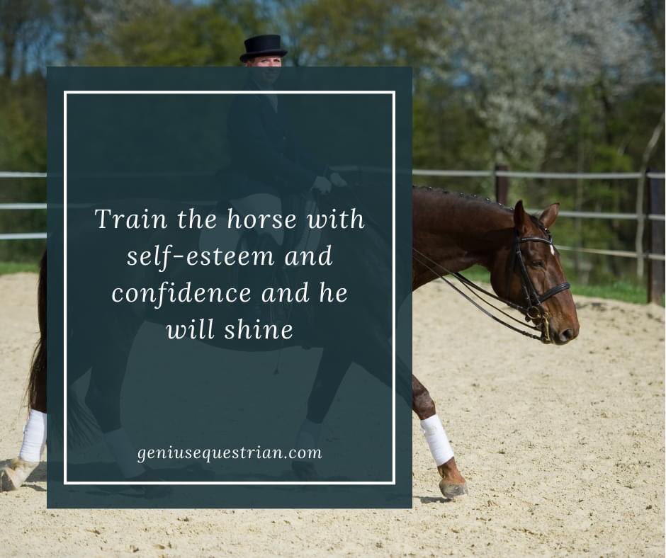 🐴💕
#horse #ponyhour #horsetrainer #Equestrian