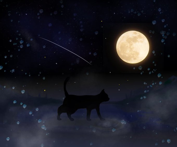 満月のtwitterイラスト検索結果