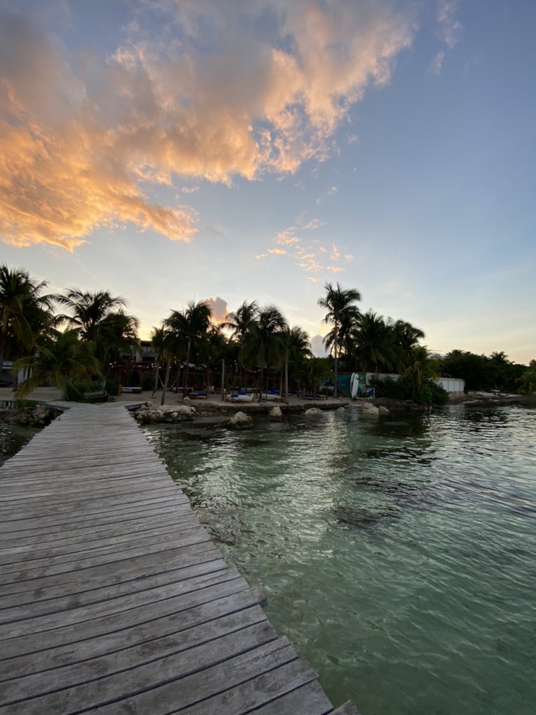 Out of office for the next month 🇲🇽 see you twitter 👋🏻