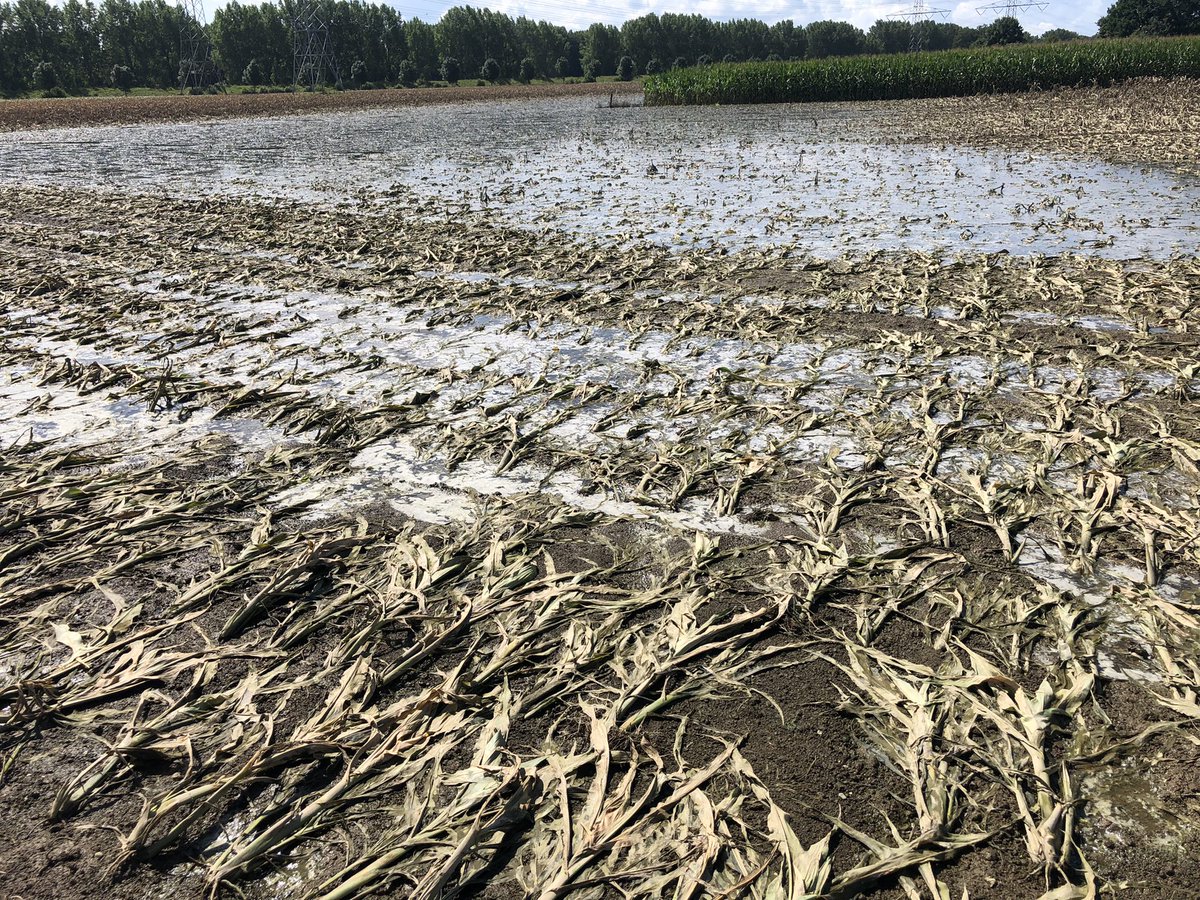 Giel Hermans🚜🚒🥷 tweet media