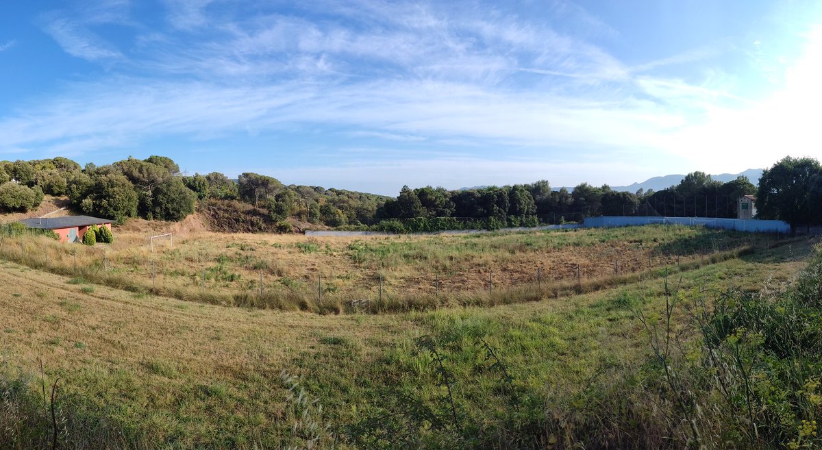 Jordi Domínguez tweet media