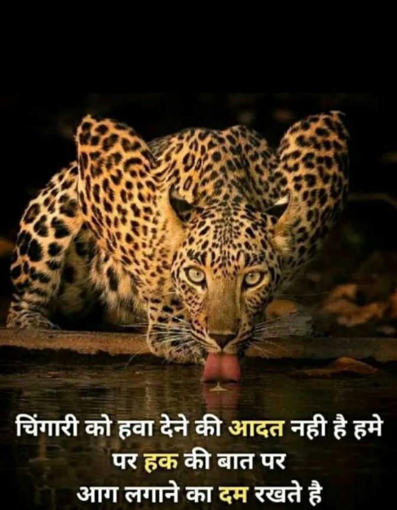 Nigam Brahmbhatt on Twitter: Nigam Brahmbhatt on Twitter:
