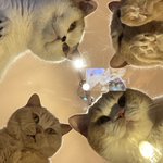 ガラステーブルを購入した結果？最高の絶景が見えた!