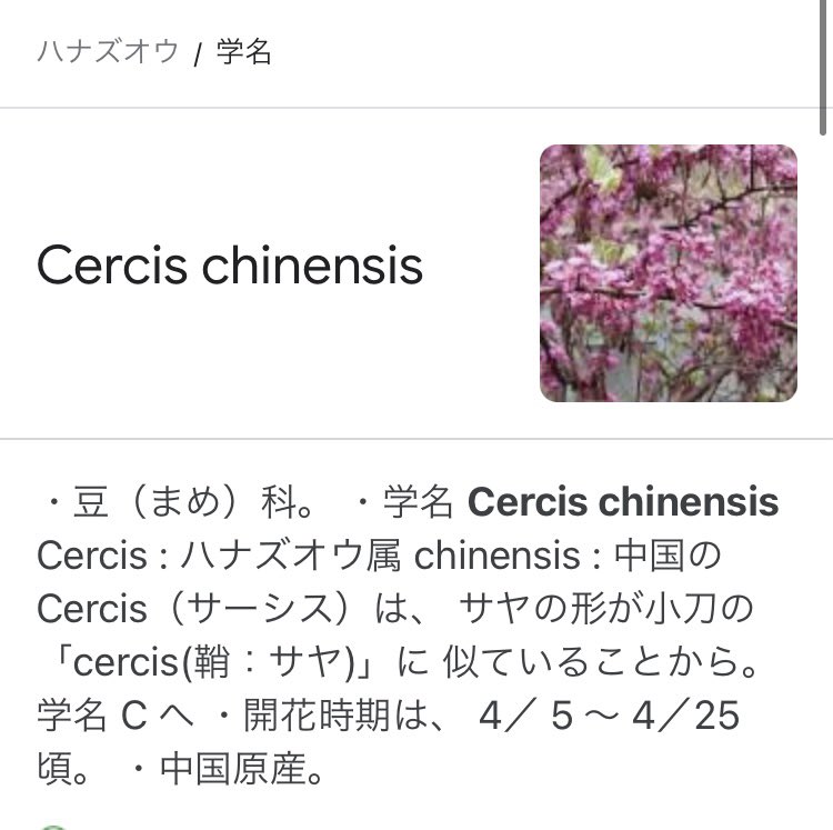 群青村考察 Twitter Search Twitter