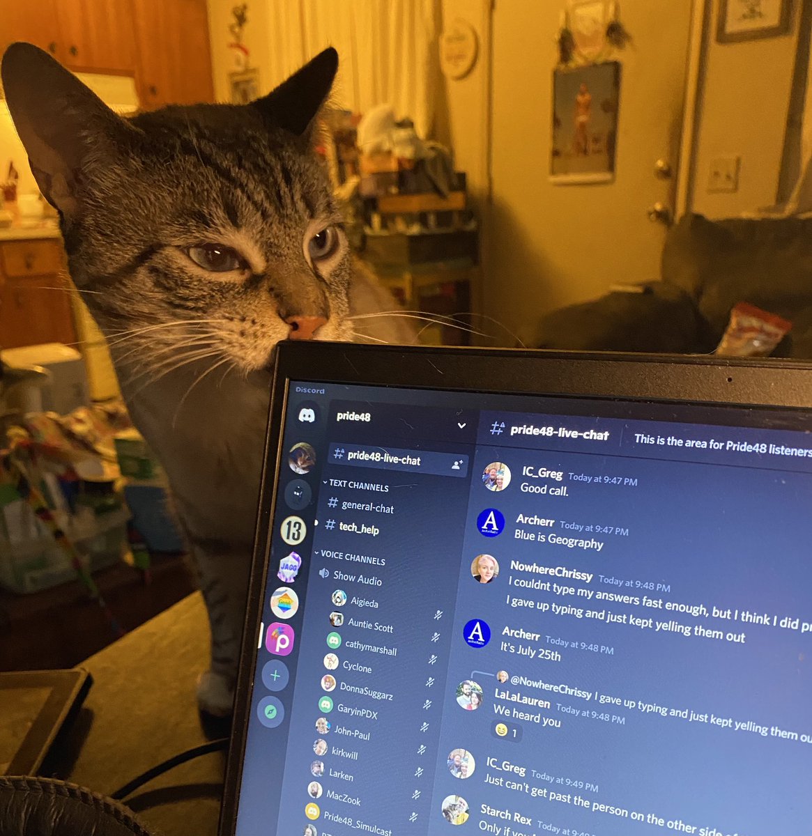 Gustopher watching the <a href="/Pride48/">Pride48.com</a> discord