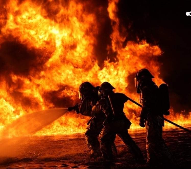 CristinaShonny's tweet image. Giornata triste per noi sardi.
La #Sardegna è in lutto🖤
Basta guardare queste immagini per farli finire all'ergastolo questi miserabili che hanno appiccicato il fuoco.
Il mio pensiero va a chi ha perso tutto, casa, raccolto, e bestiame. Le foto non sono le mie.