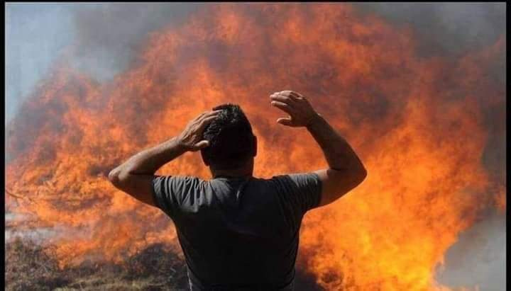 CristinaShonny's tweet image. Giornata triste per noi sardi.
La #Sardegna è in lutto🖤
Basta guardare queste immagini per farli finire all'ergastolo questi miserabili che hanno appiccicato il fuoco.
Il mio pensiero va a chi ha perso tutto, casa, raccolto, e bestiame. Le foto non sono le mie.