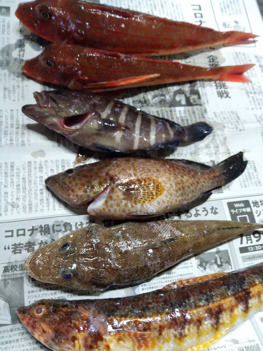 みんなの 海釣り 唐揚げ 口コミ 評判 食べたいランチ 夜ごはんがきっと見つかる ナウティスイーツ