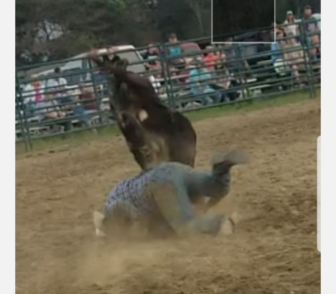 Kimberly Ann Gibson tweet media