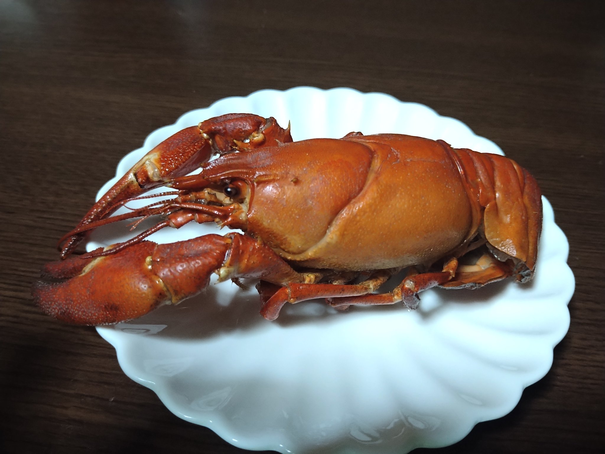 ぼんちゃん 捕獲したウチダザリガニは 塩茹ででいただきました 本当にロブスターと遜色ない味 美味しすぎて 身の写真撮り忘れるくらいに夢中で食べました 笑 皆で捕獲して美味しく食べるのが 生態系にも人間にも良いかもしれないですね T Co