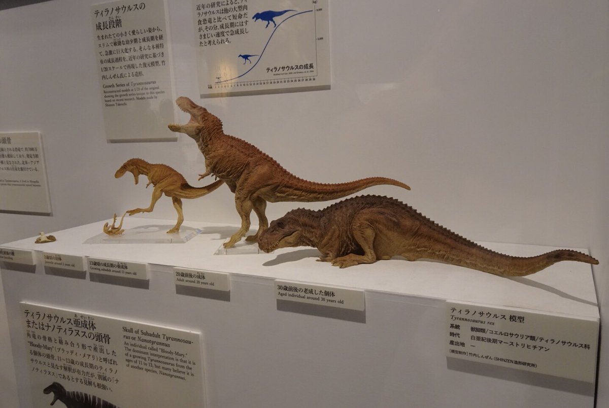 DinoScience #恐竜科学博 恐竜等の模型を制作する竹内信善さん