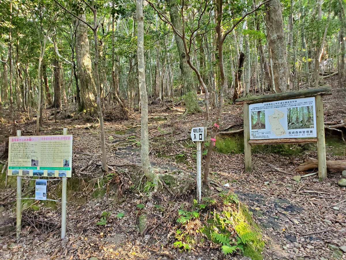 ガイ 黒猫あつめ 裏八丁郭 天道法師の母親の墓所です 龍良山の登山道の途中にあります 八丁郭よりさらに荘厳な雰囲気の中にあります 30分ほど迷子になりましたが スジダイの巨木のそばから赤い鳥居が見えます 行く方はこの木を目印に 基本的に危険