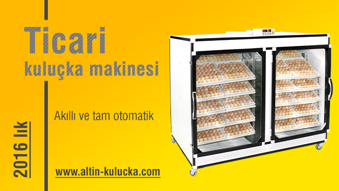 Yılların tecrübesi ile üretimi gerçekleşen 2016 adet tavuk yumurtası kapasitesinde kombine kuluçka makinesi, altın kuluçkanın özel ürünü İG-2020 akıllı kontrol mekanizmasından faydalanmaktadır ve bu sistem sayesinde akıllı olarak fiziki koşulları temin edip ve sabit tutacaktır.
