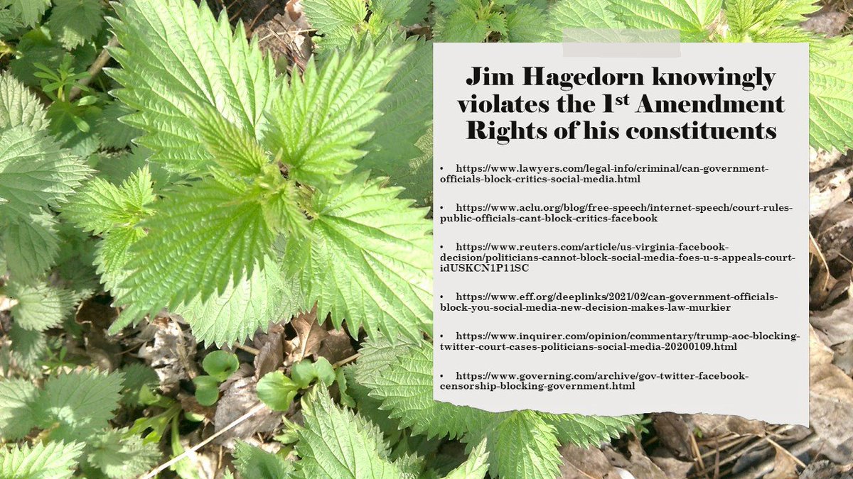 JahneEsther's tweet photo. @RepHagedorn Hey Jimmie, just wondering if you could help out a goodly number of your constituents with a 1st Amendment rights issue, and stop blocking people on ALL of your official social media platforms.

Shame 🕭 Shame 🕭 Shame 🕭
  
#Traitor #Resign #NeverForget010621 https://t.co/OE5GJTCaDe