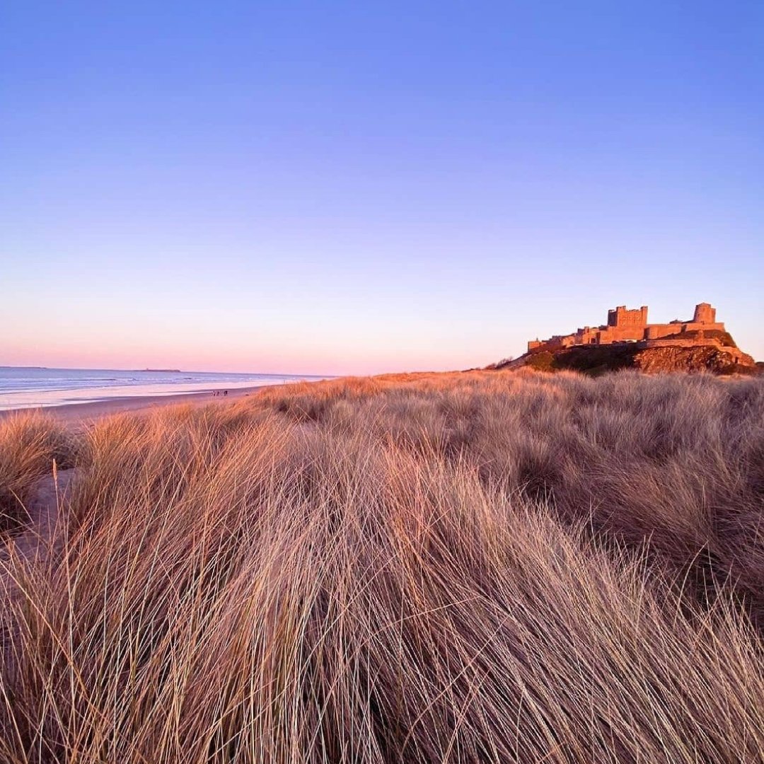 LateCottages tweet media