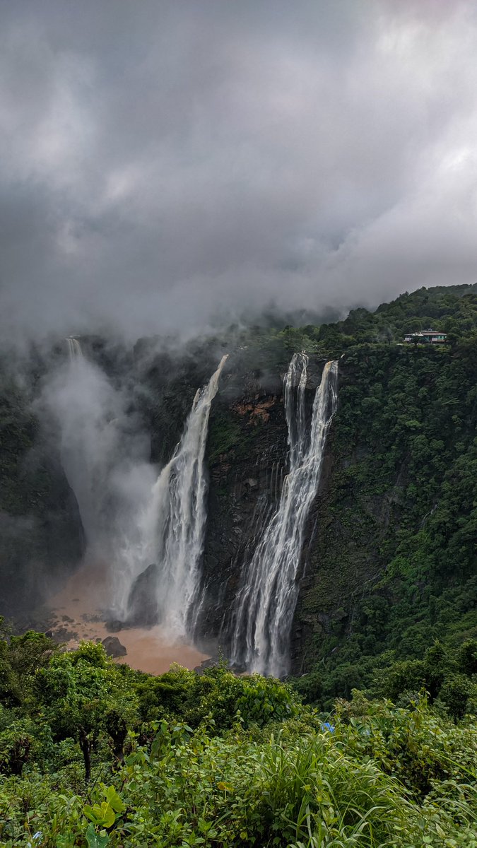 manncyclopedia's tweet image. Every breath we take, every step we make, can be filled with peace, joy and serenity.
#jogfalls