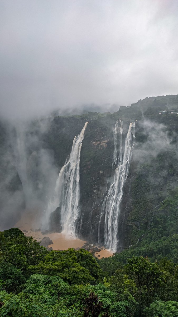 manncyclopedia's tweet image. Every breath we take, every step we make, can be filled with peace, joy and serenity.
#jogfalls