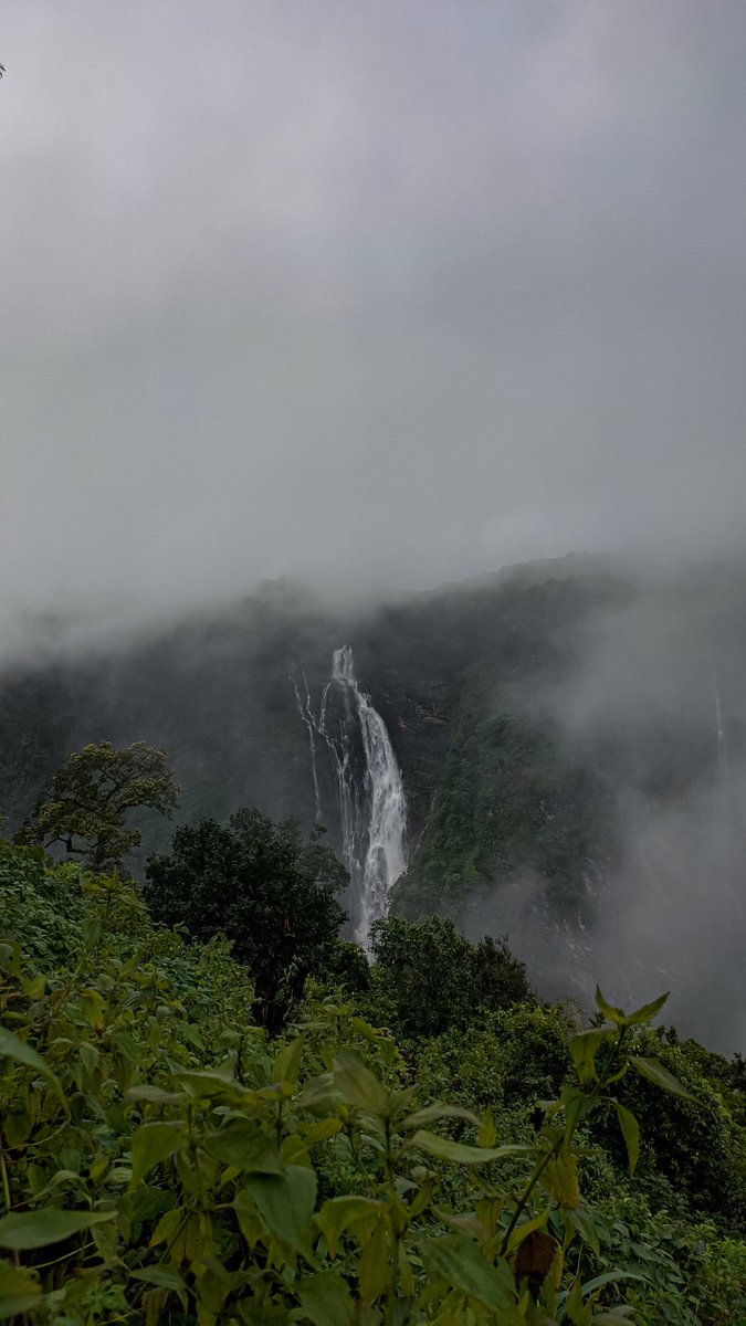 manncyclopedia's tweet image. Every breath we take, every step we make, can be filled with peace, joy and serenity.
#jogfalls