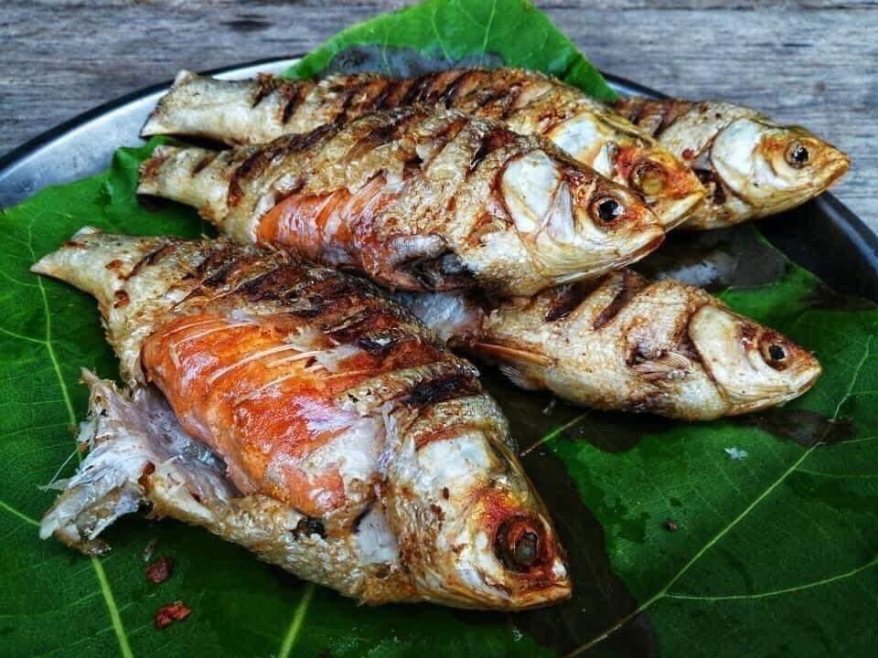 TER58555902's tweet photo. aroi https://t.co/2F7J69ZSgq