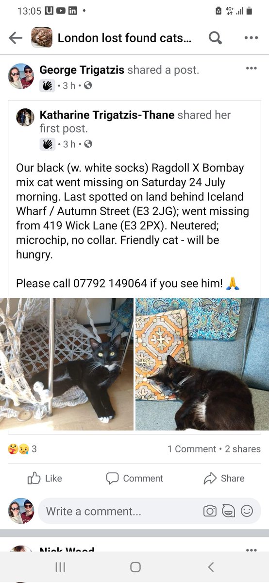 trig_91's tweet photo. Our cat is missing since Saturday morning. In Fish Island / Bow / Hackney Wick area in East London. DM me if you see him and pls share #lostcat #foundcat #lostandfound https://t.co/B6IsqzOcBm