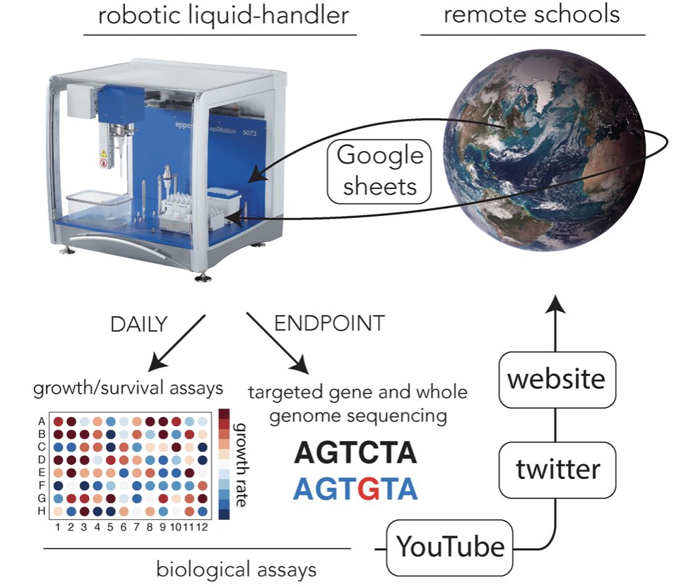 mitchell_sysbio's tweet photo. Very cool! We used robotic automation (and code) to allow hudreds of high-schoolers around the world to evolve bacteria remotely. I'd love to cooperate in this, I think #RemoteExperimentation can be useful. https://t.co/HbETjONaDp
https://t.co/ZAzYUzRpYv https://t.co/dOHA3HgbsR