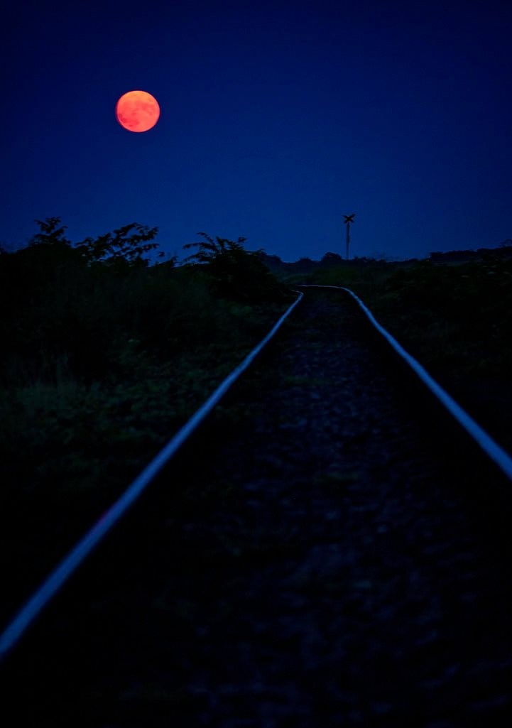 xyzwtf_55's tweet photo. And i shall see u all tomorrow...
#photographer #photo #moon #timiscounty🇷🇴
#GoodNightTwitterWorld https://t.co/L39cQllRRf