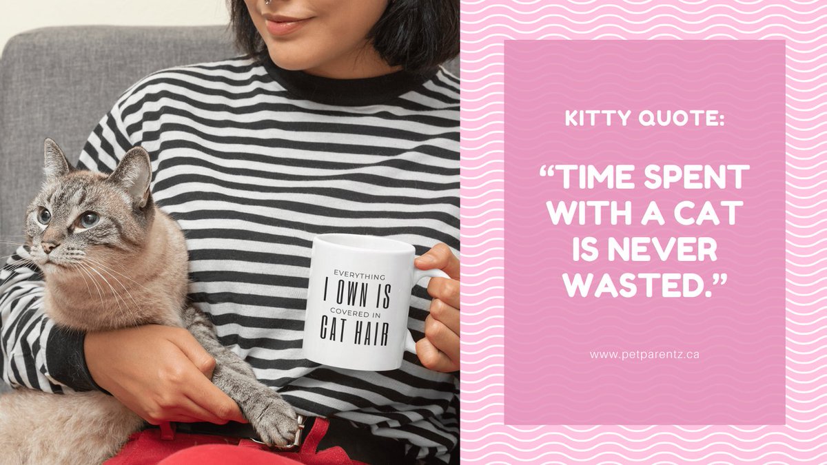 Pet Parentz tweet media