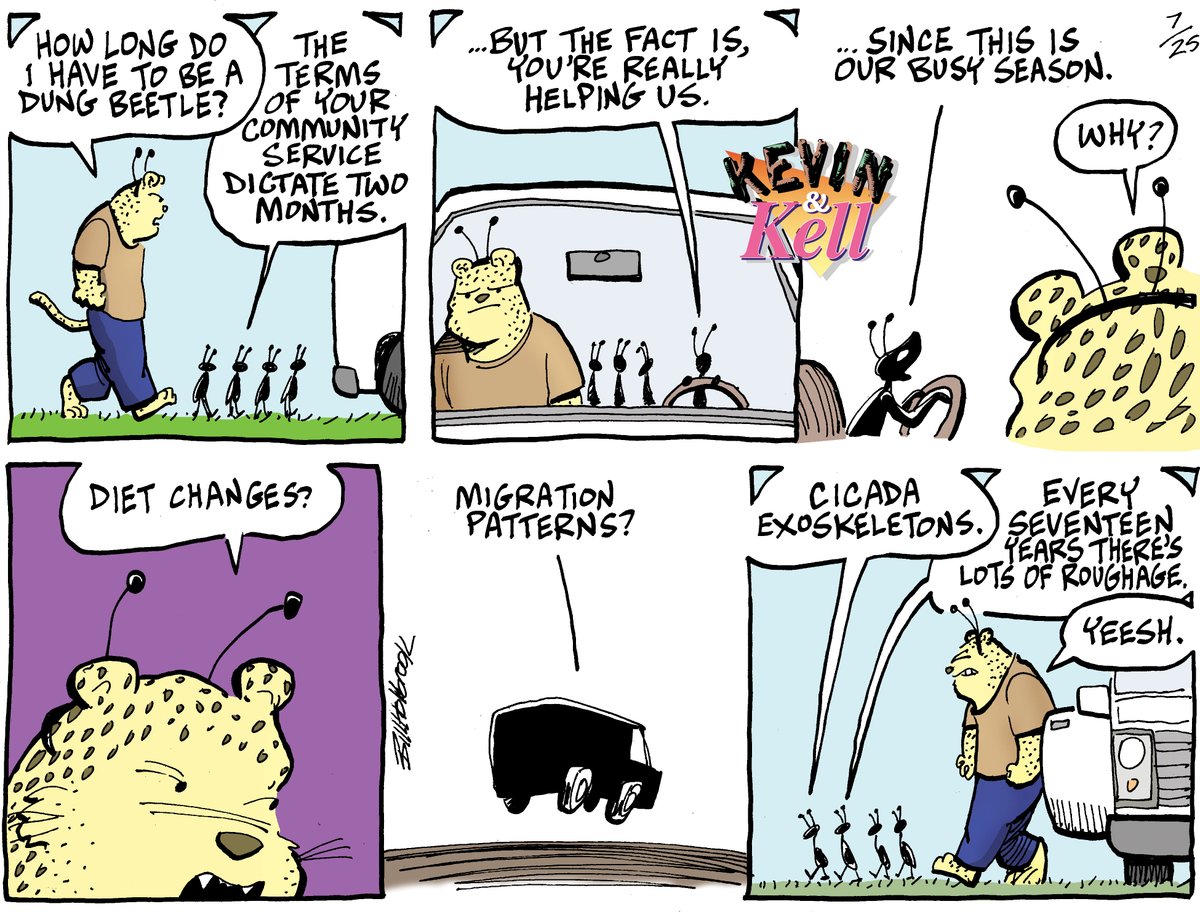 catherine_aura's tweet image. kevinandkell.com/2021/kk0725.ht…
#DungBeetle
#Cicadas
#Roughage