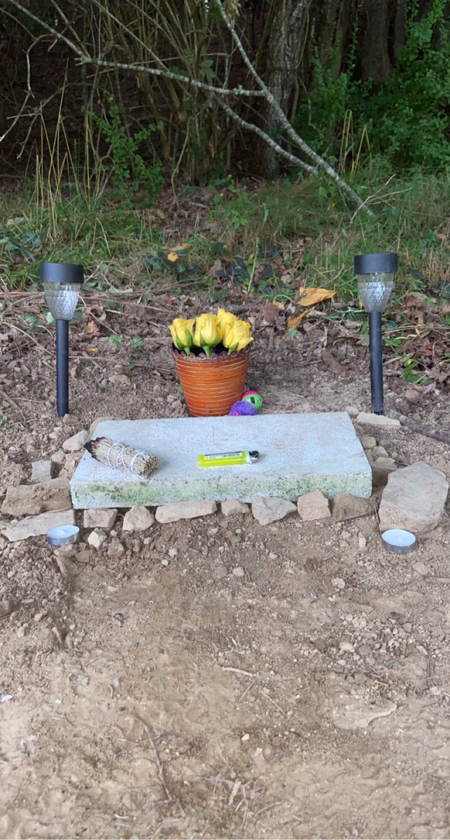 oh, jfk.. my heart is heavy.