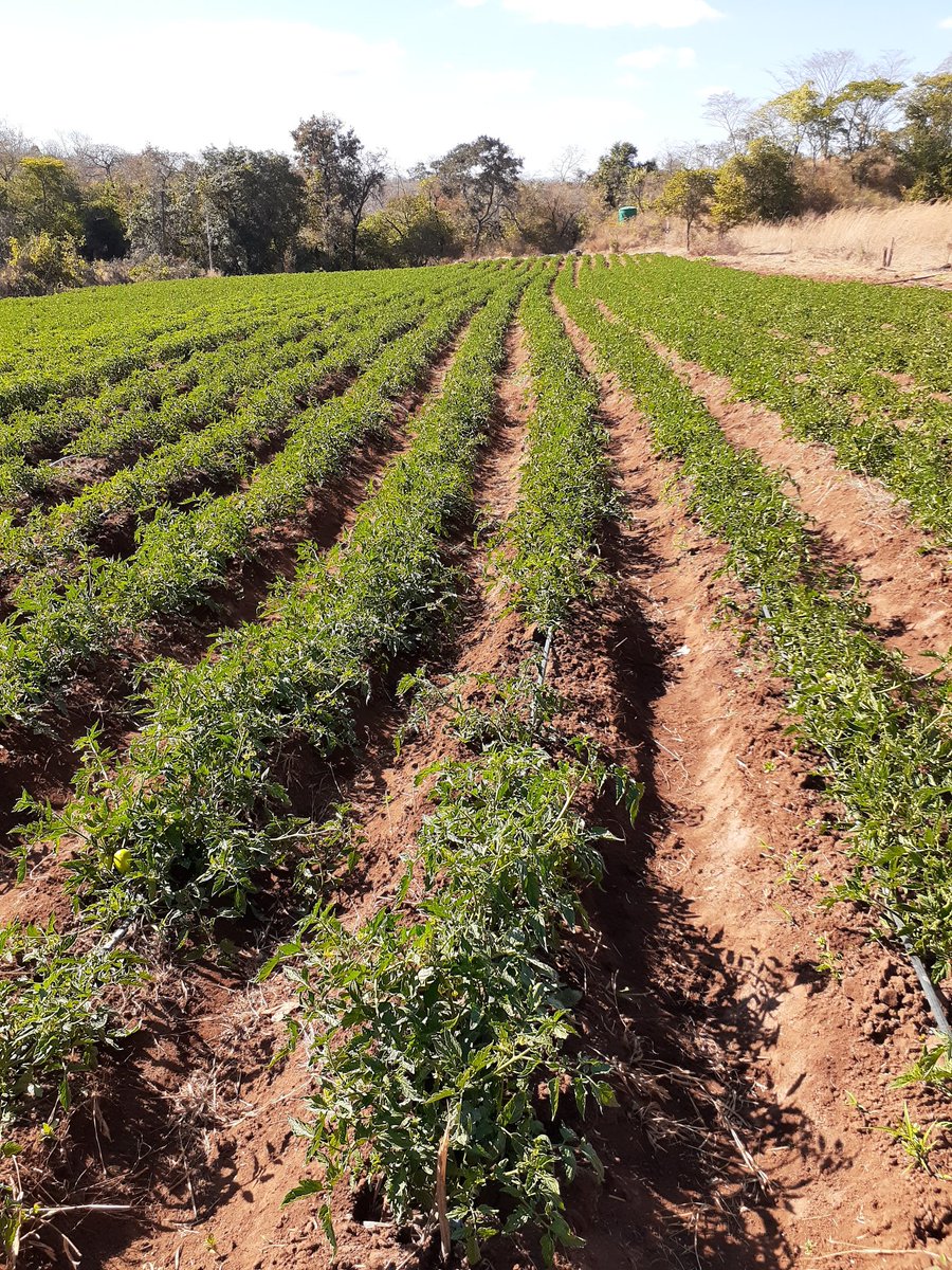 Starting Week 9. Winter is still with us